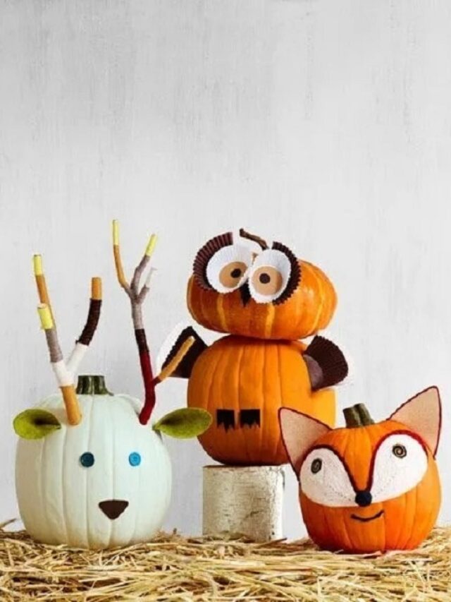 trang trí bí ngô 40