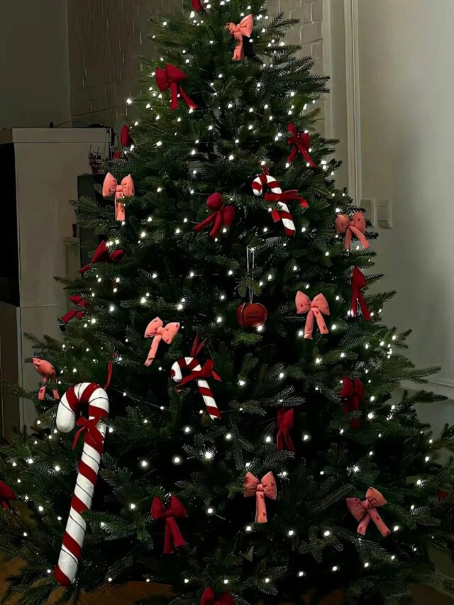 trang trí giáng sinh 5