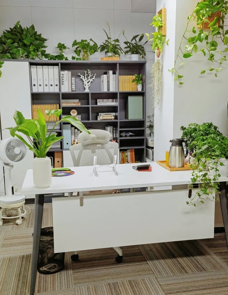 decor góc làm việc 13