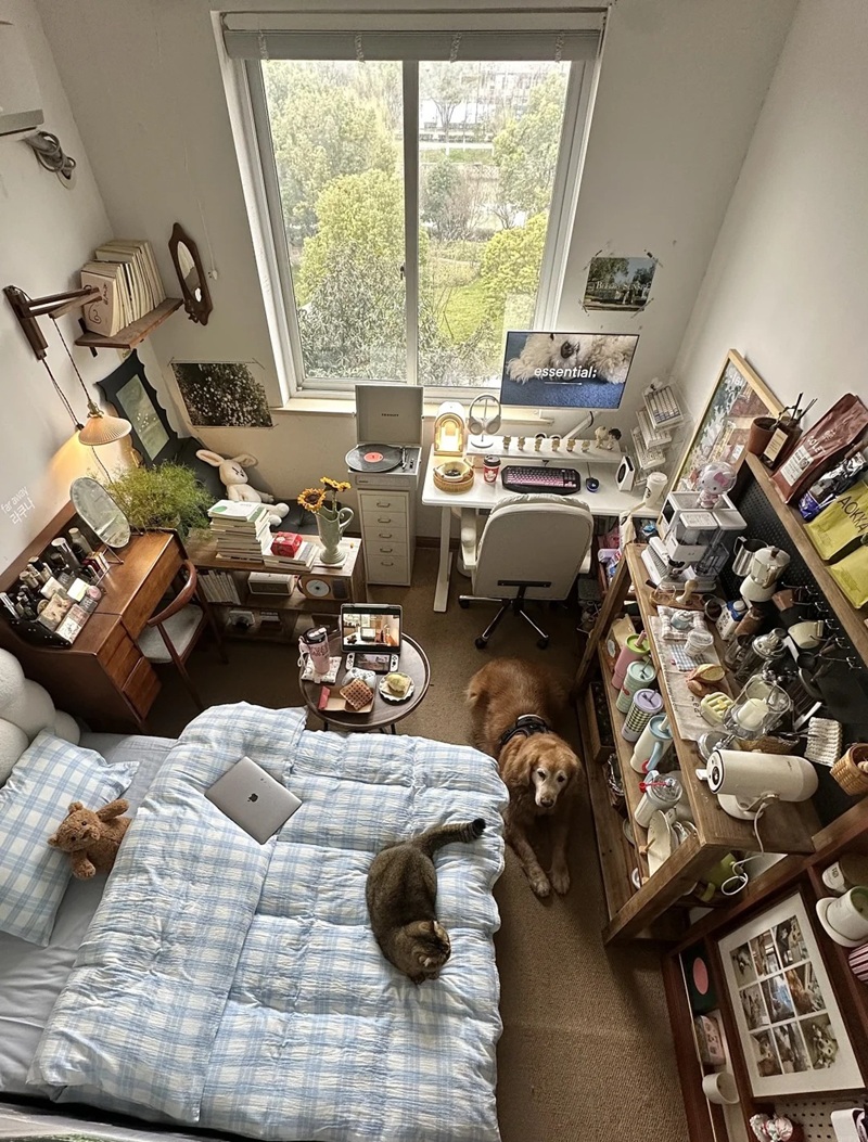 decor phòng trọ 21