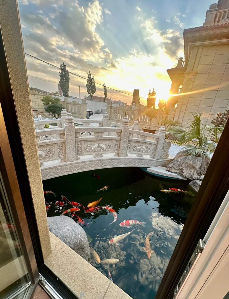 decor sân vườn 24