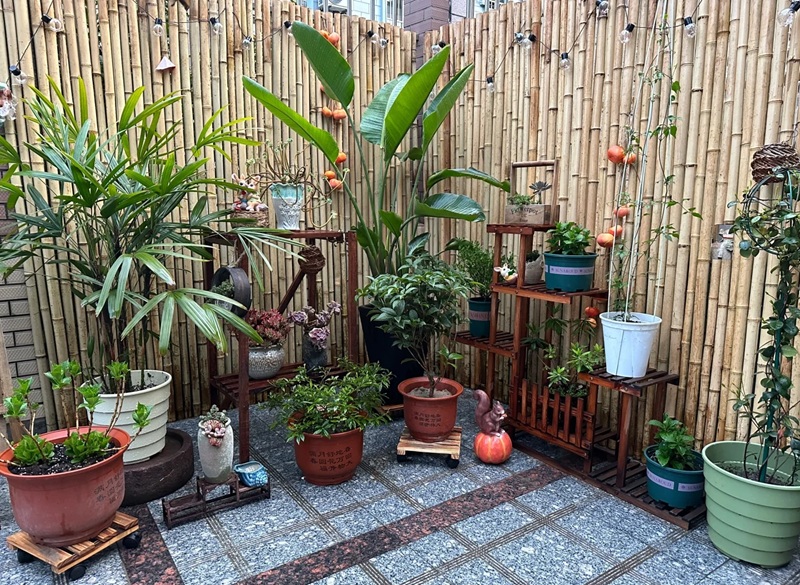 decor sân vườn 25