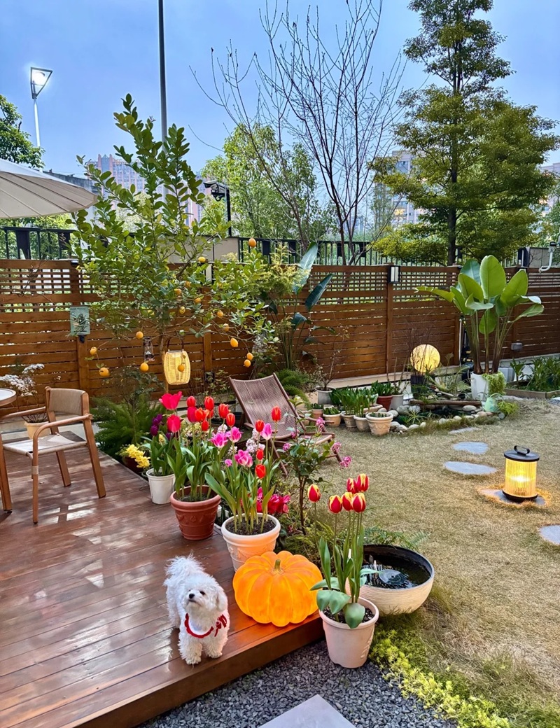 decor sân vườn 27