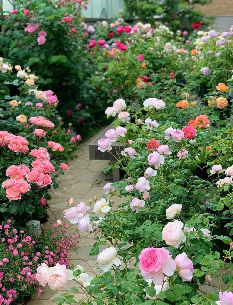 decor sân vườn 32