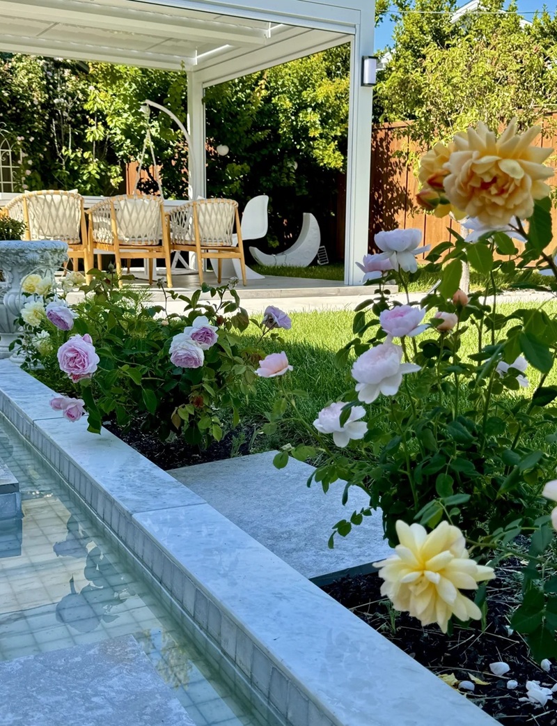 decor sân vườn 5