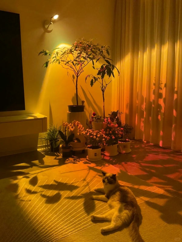 đèn trang trí phòng khách 20