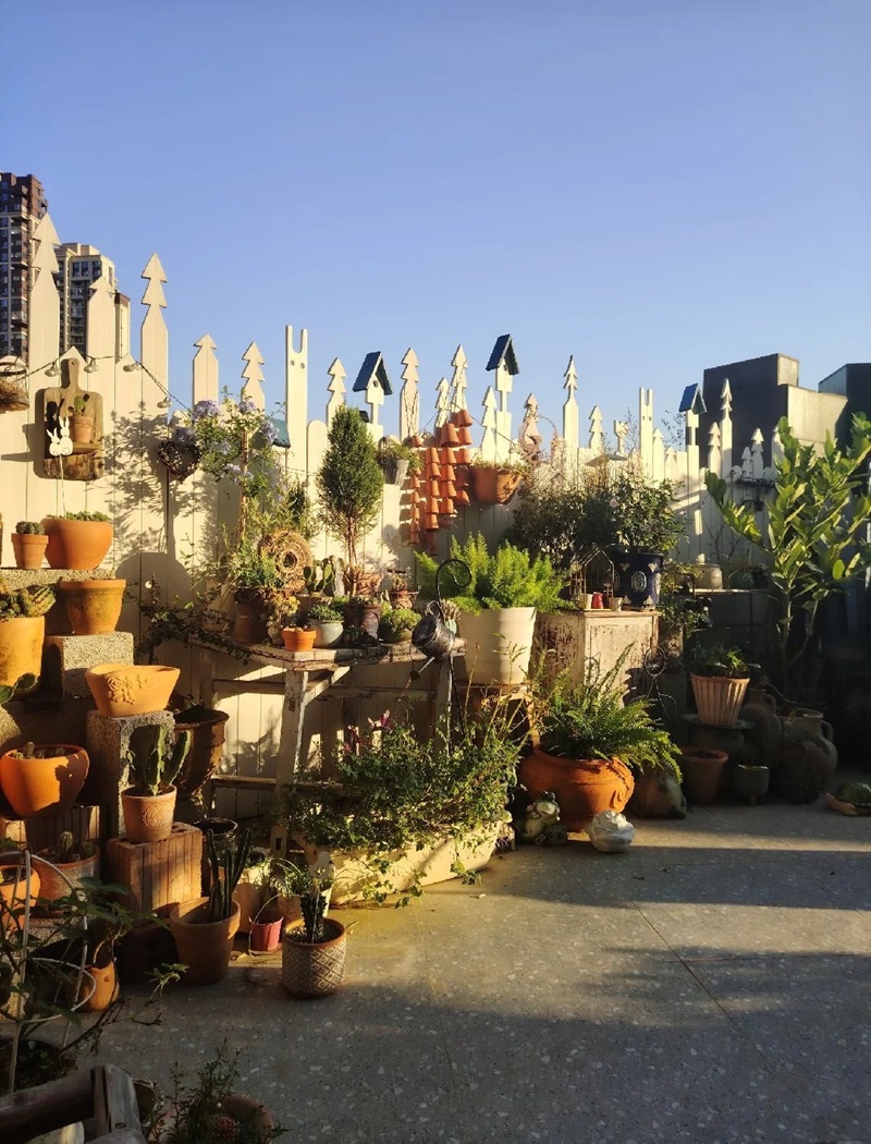 hàng rào trang trí 10