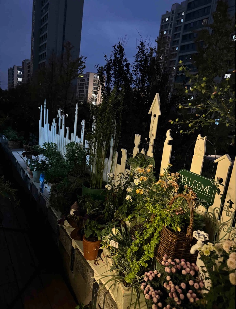 hàng rào trang trí 11