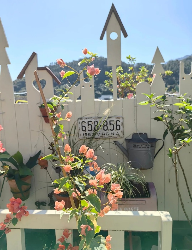 hàng rào trang trí 12