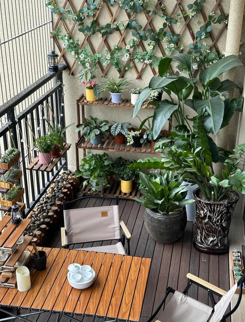 hàng rào trang trí 2