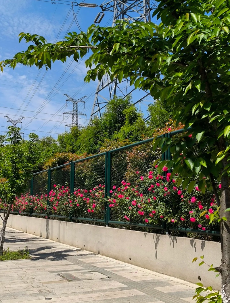 hàng rào trang trí 29