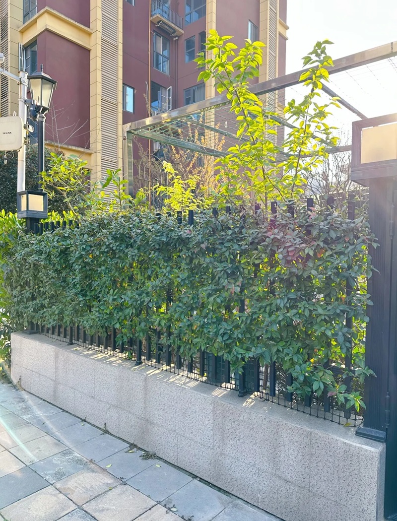 hàng rào trang trí 31