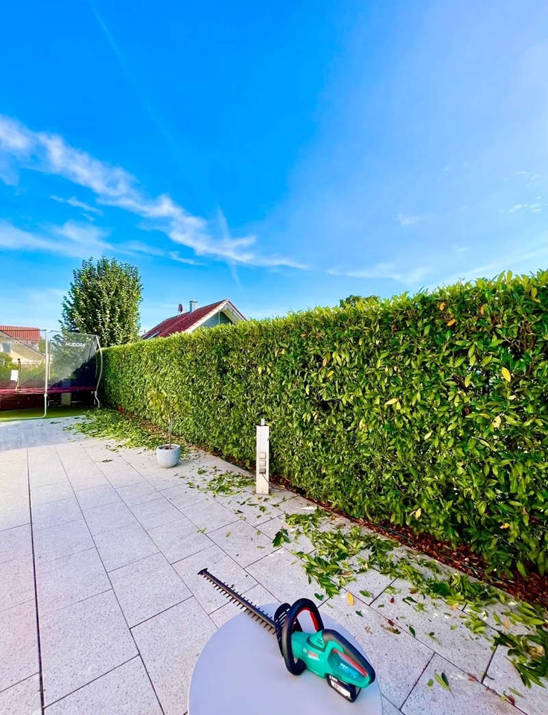 hàng rào trang trí 37