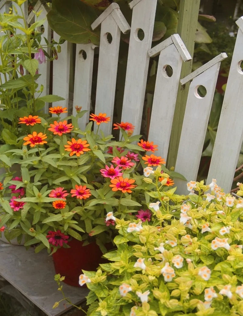 hàng rào trang trí 7