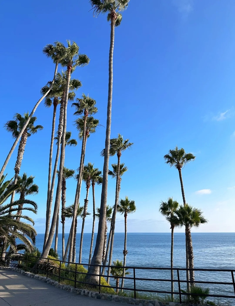 trang trí bãi biển​ 25