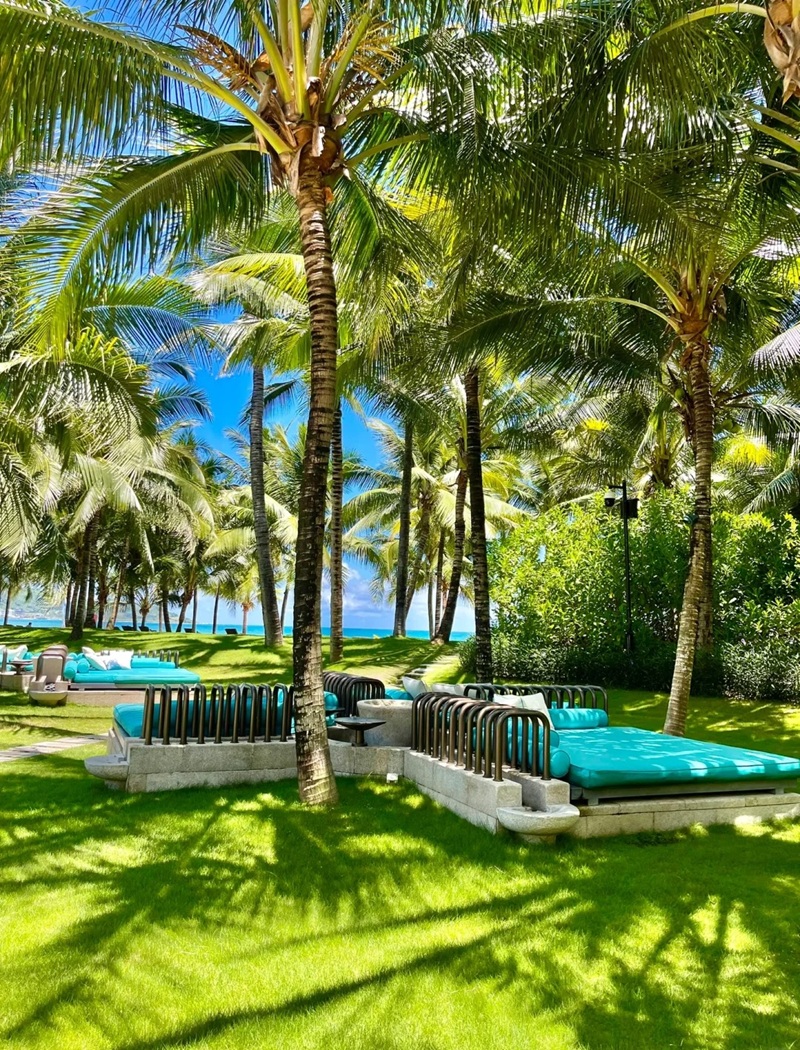 trang trí bãi biển​ 32