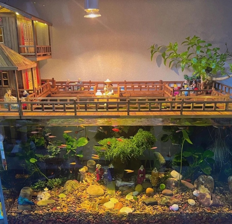 trang trí bể cá 11