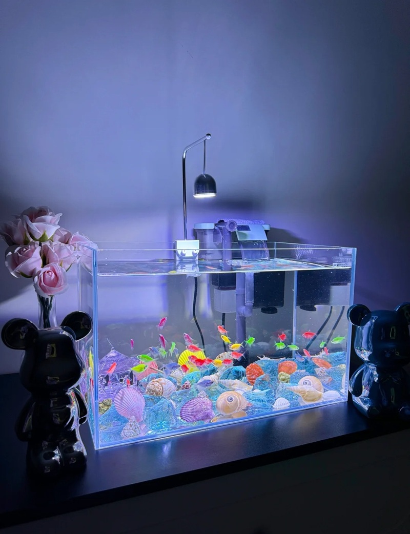 trang trí bể cá 14