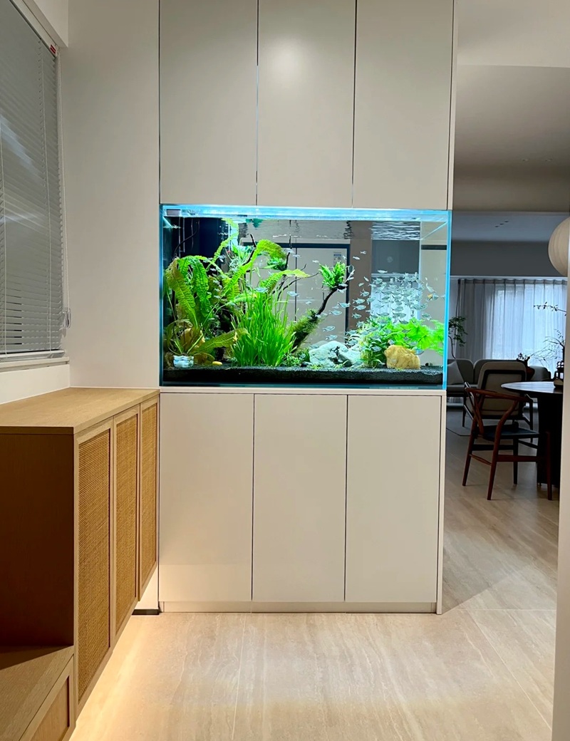trang trí bể cá 17