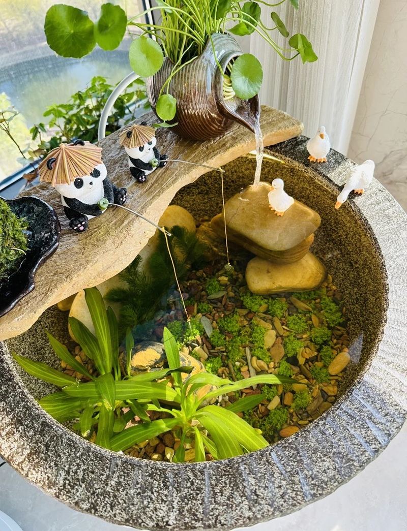 trang trí bể cá 19