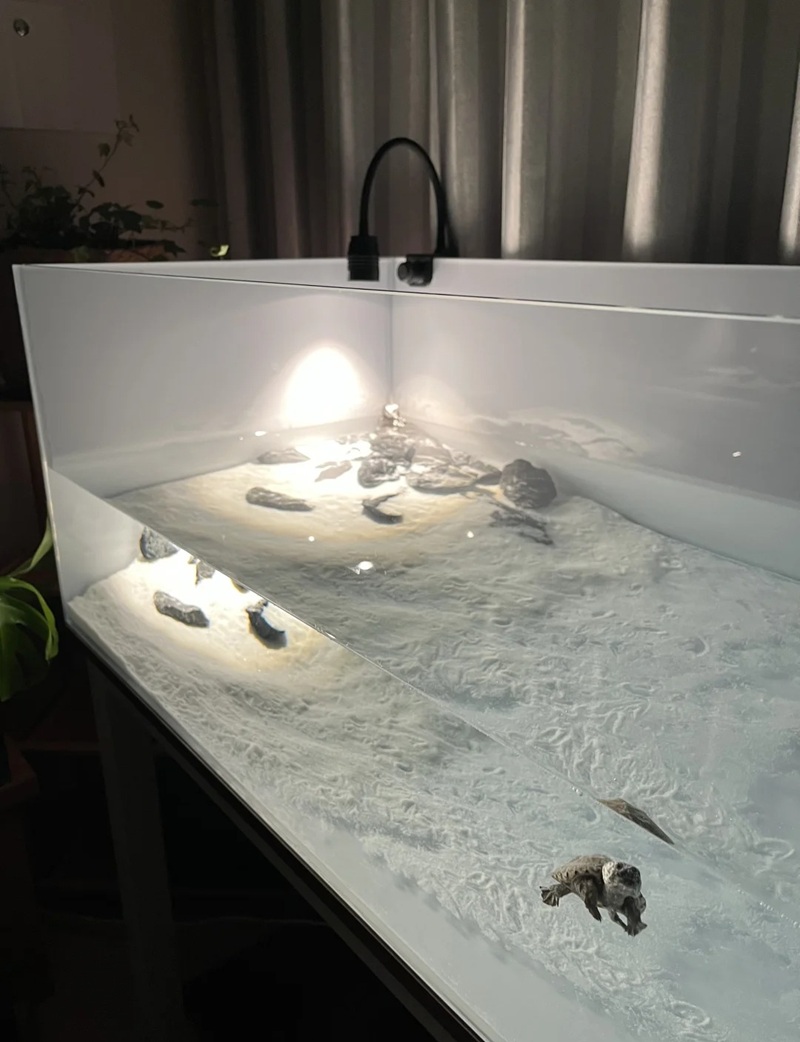 trang trí bể cá 20