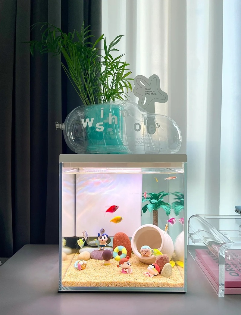 trang trí bể cá 21