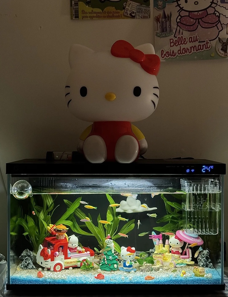 trang trí bể cá 22