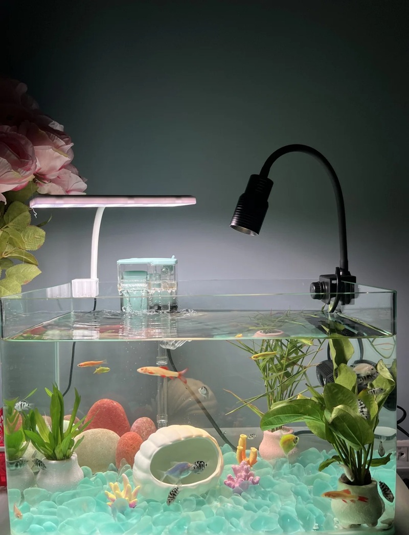 trang trí bể cá 24