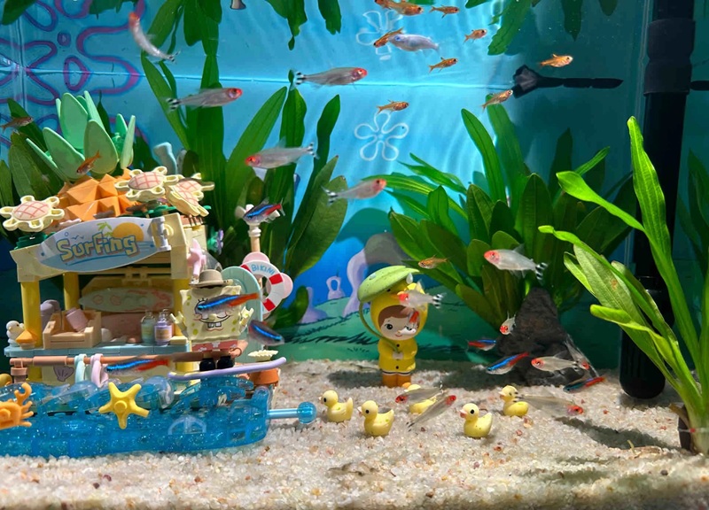 trang trí bể cá 25