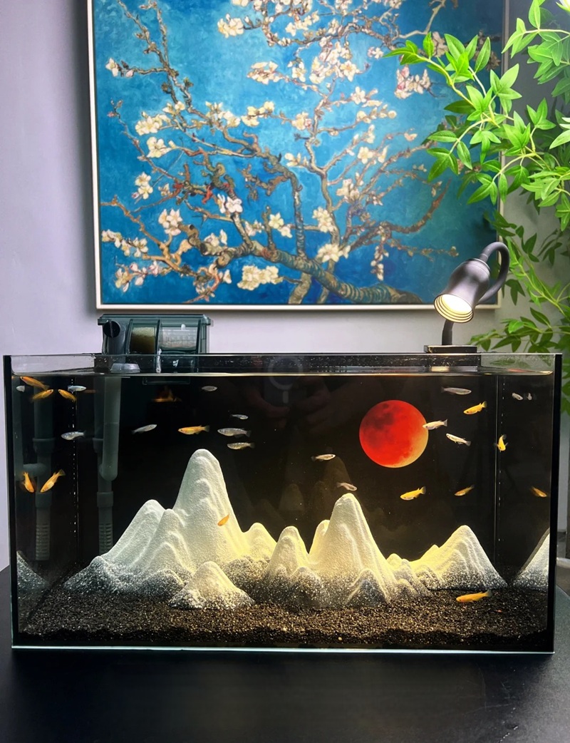 trang trí bể cá 29