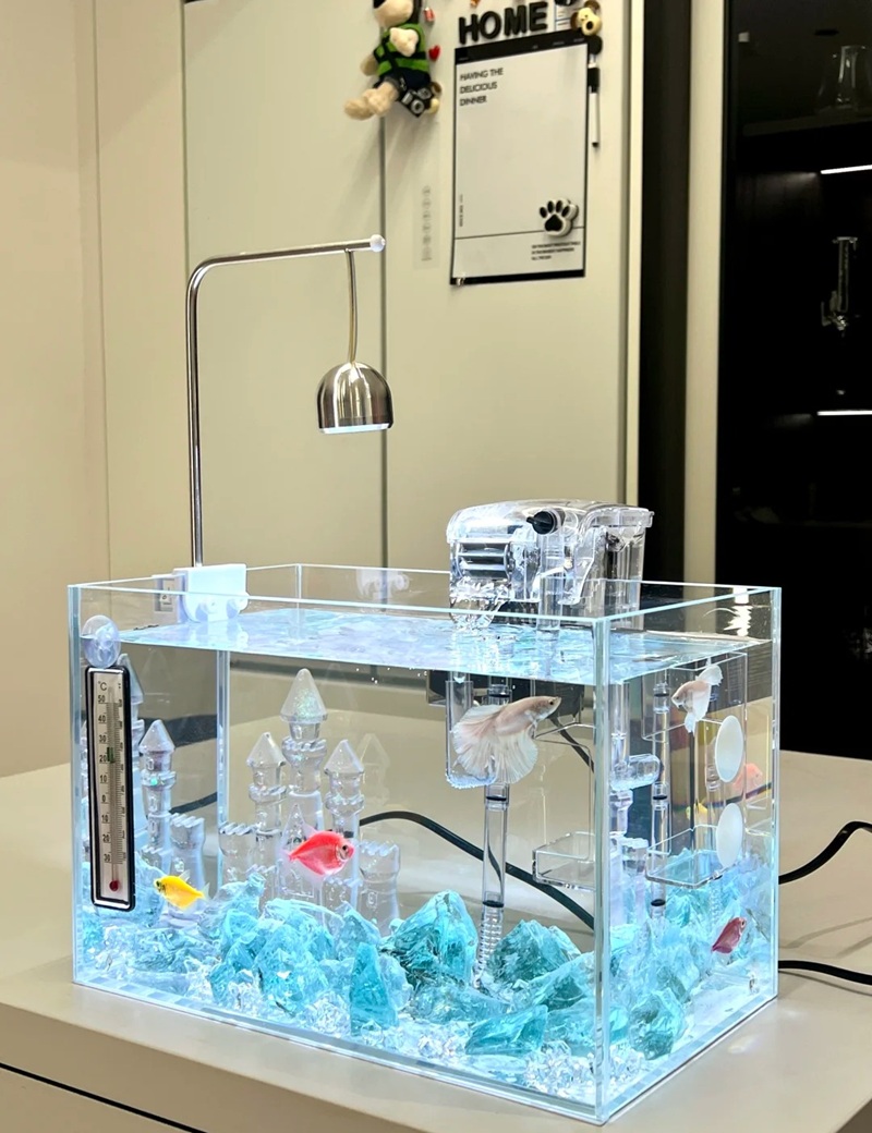 trang trí bể cá 30