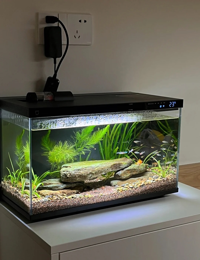 trang trí bể cá 34