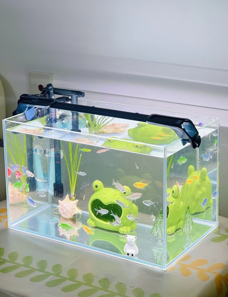 trang trí bể cá 35