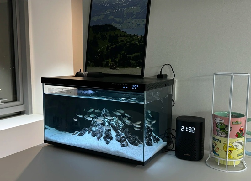 trang trí bể cá 40