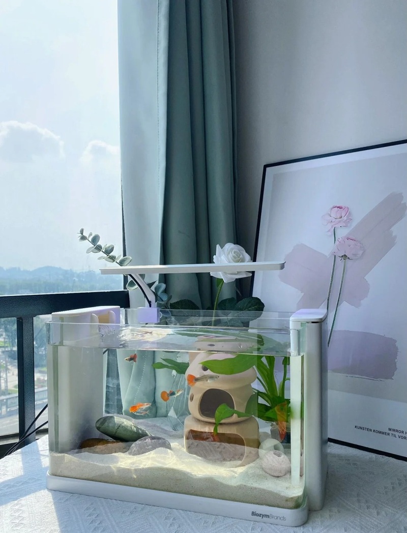 trang trí bể cá 7