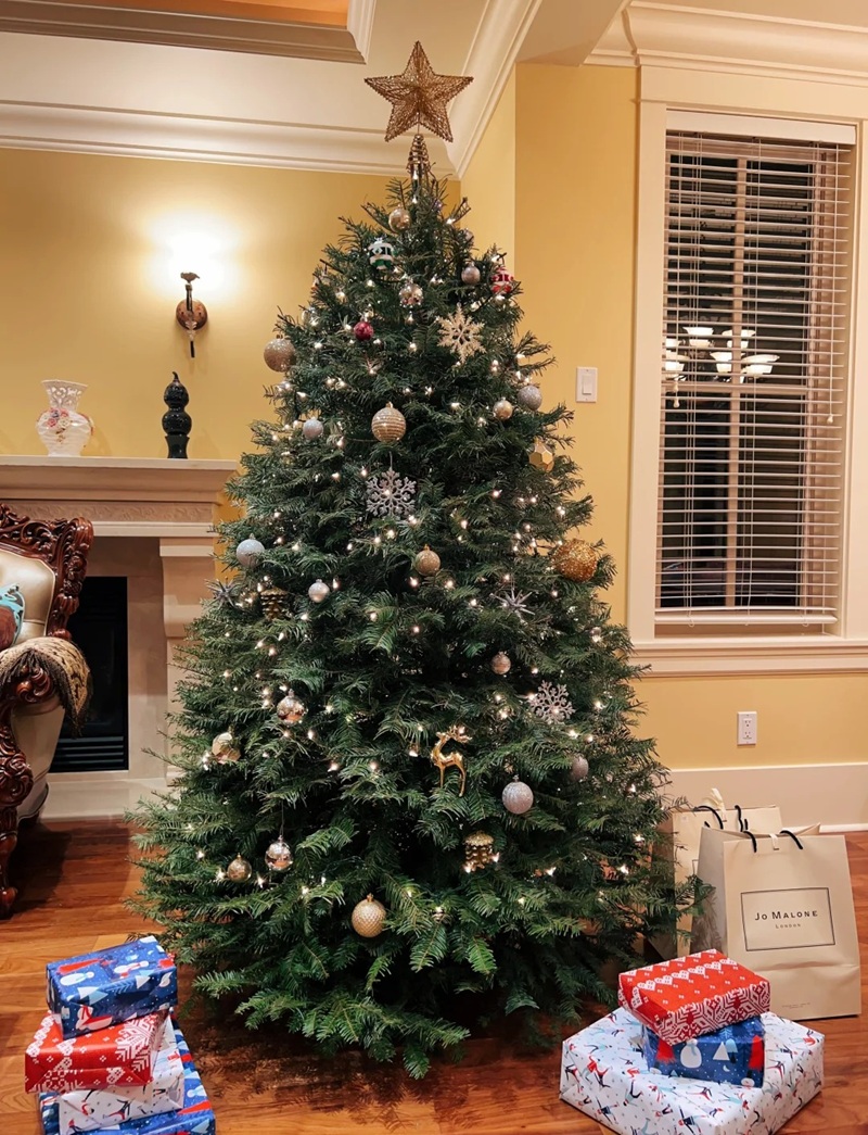 trang trí cây thông noel 12