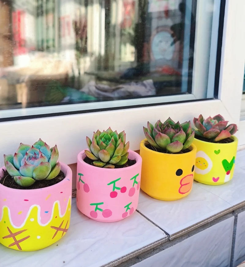 trang trí chậu cây 17