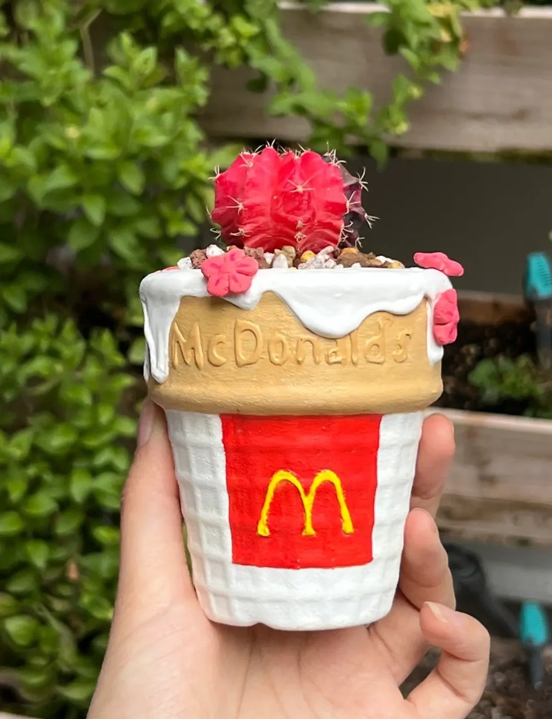 trang trí chậu cây 30