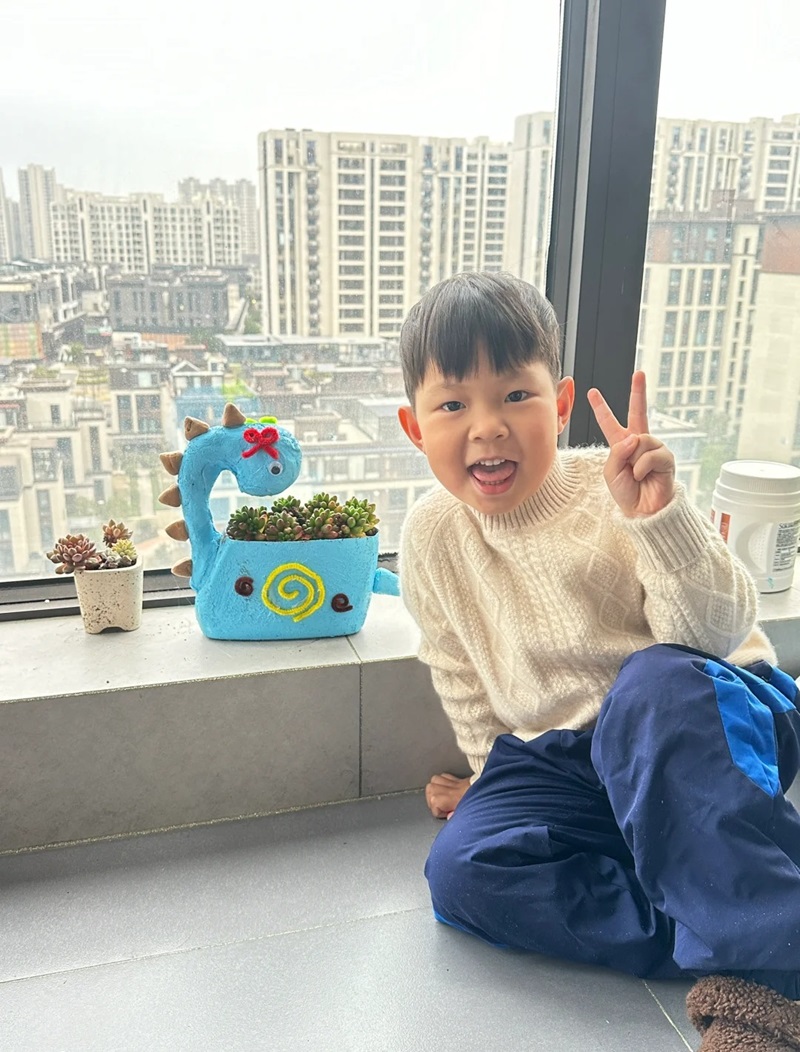 trang trí chậu cây 34