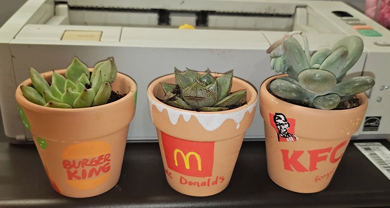 trang trí chậu cây 35