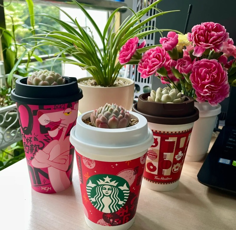 trang trí c38hậu cây 