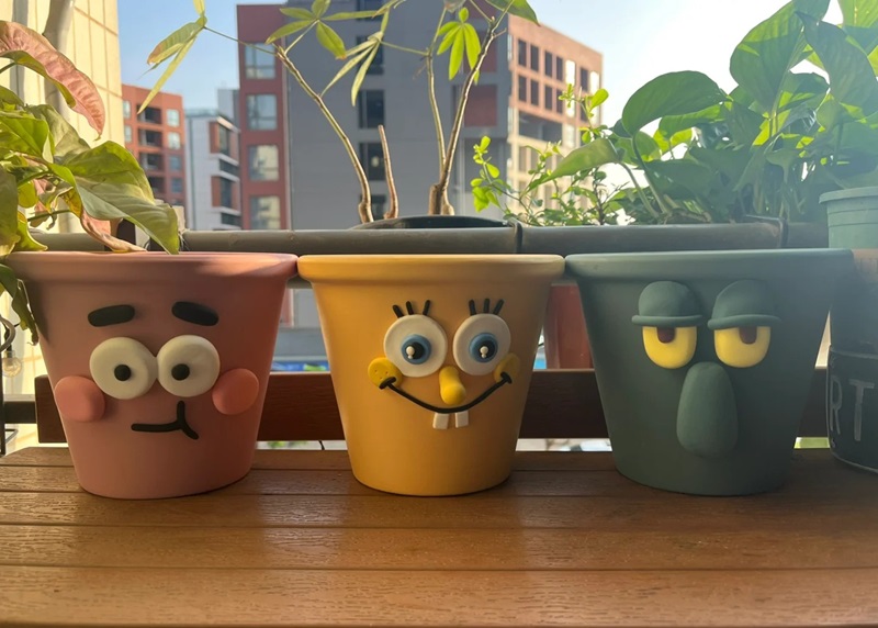 trang trí chậu cây 39