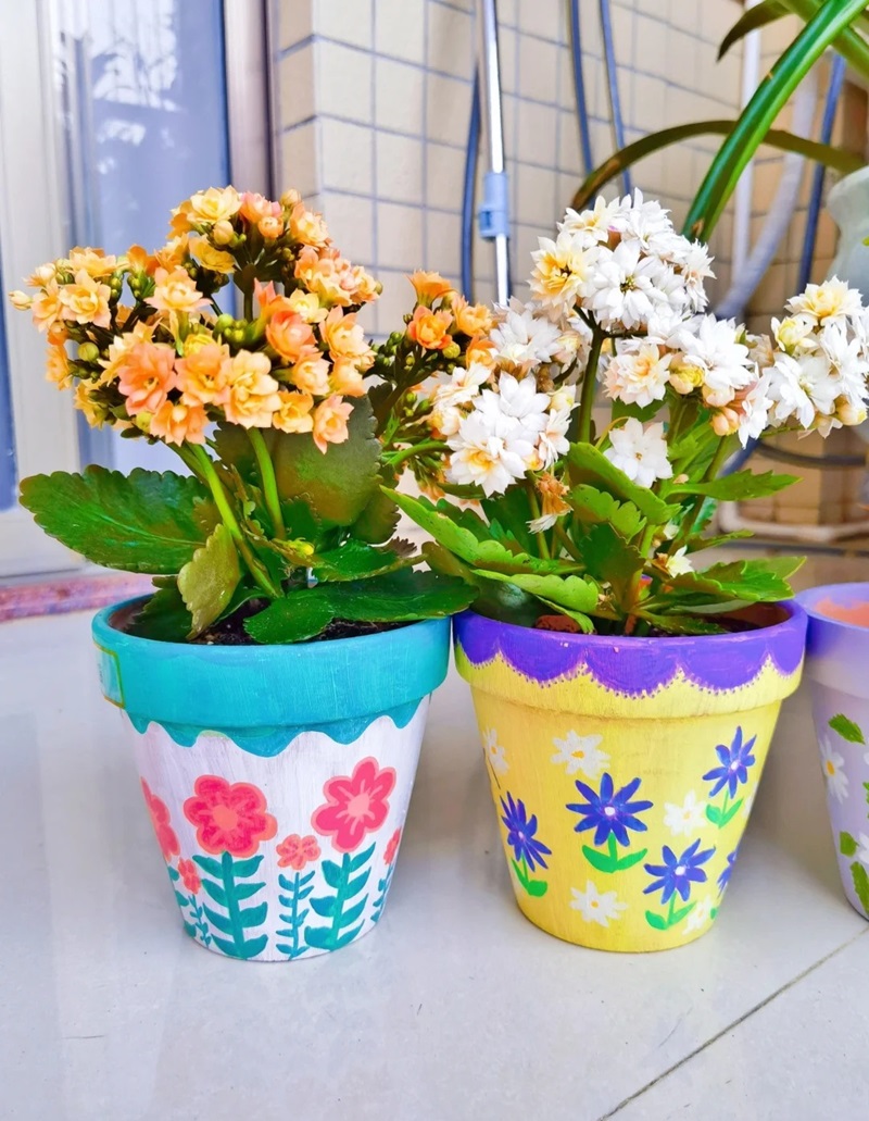 trang trí chậu cây 4