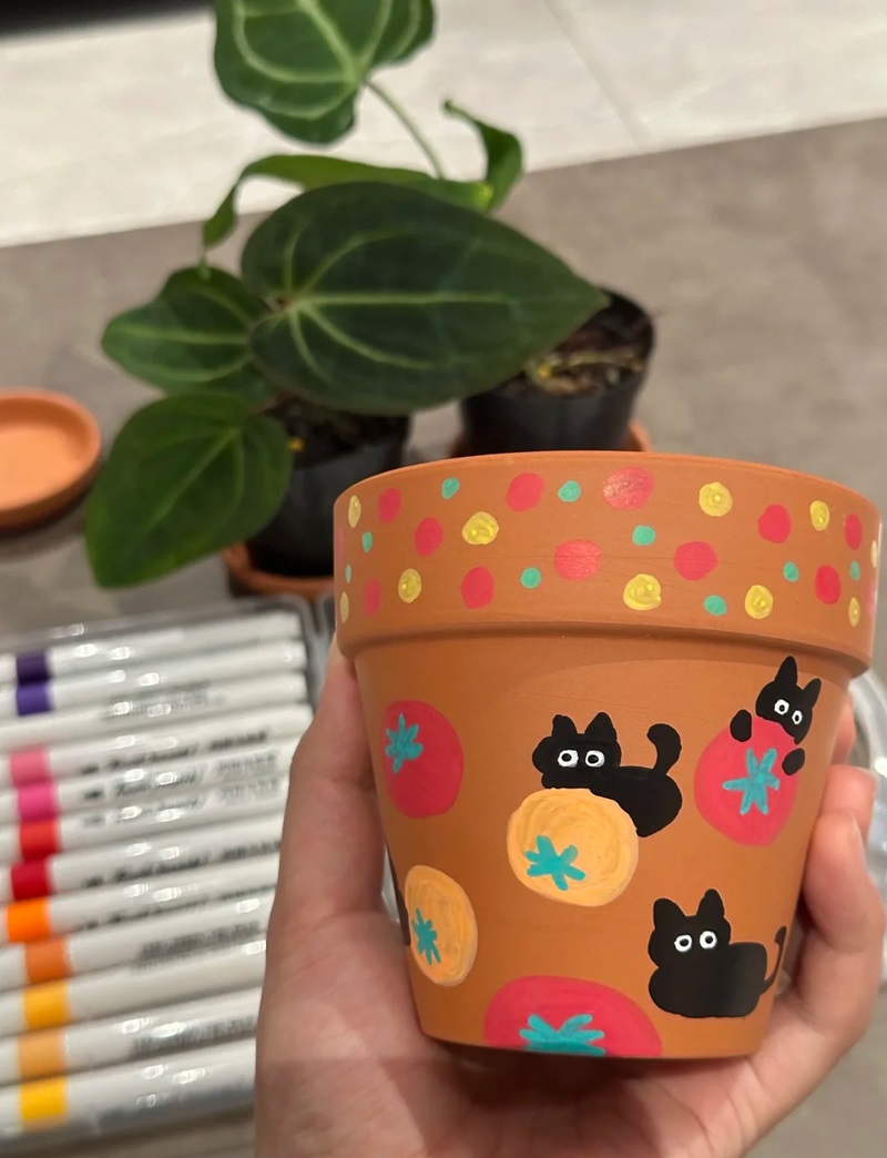 trang trí chậu cây 5