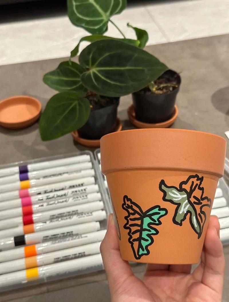 trang trí chậu cây 7