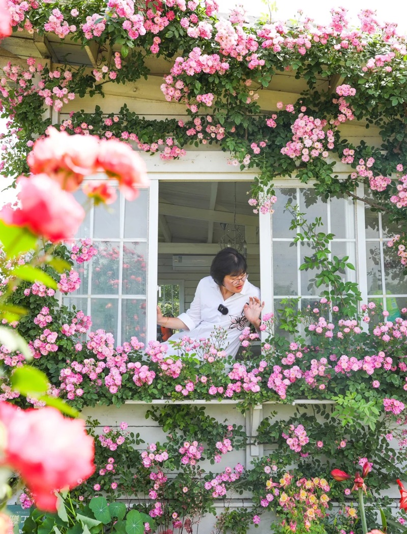 trang trí cửa sổ 35