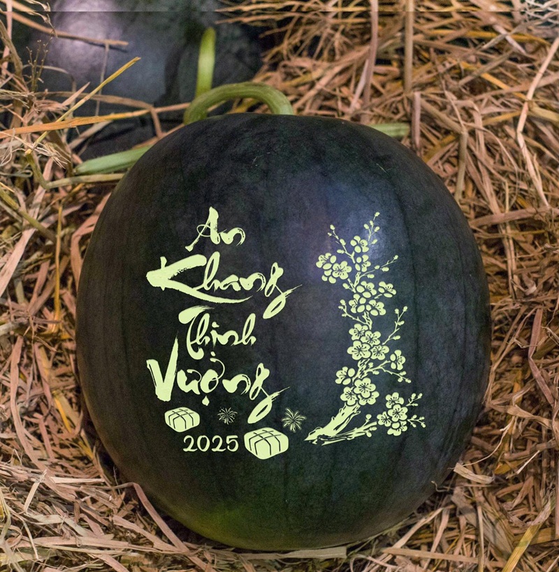 trang trí dưa hấu 13