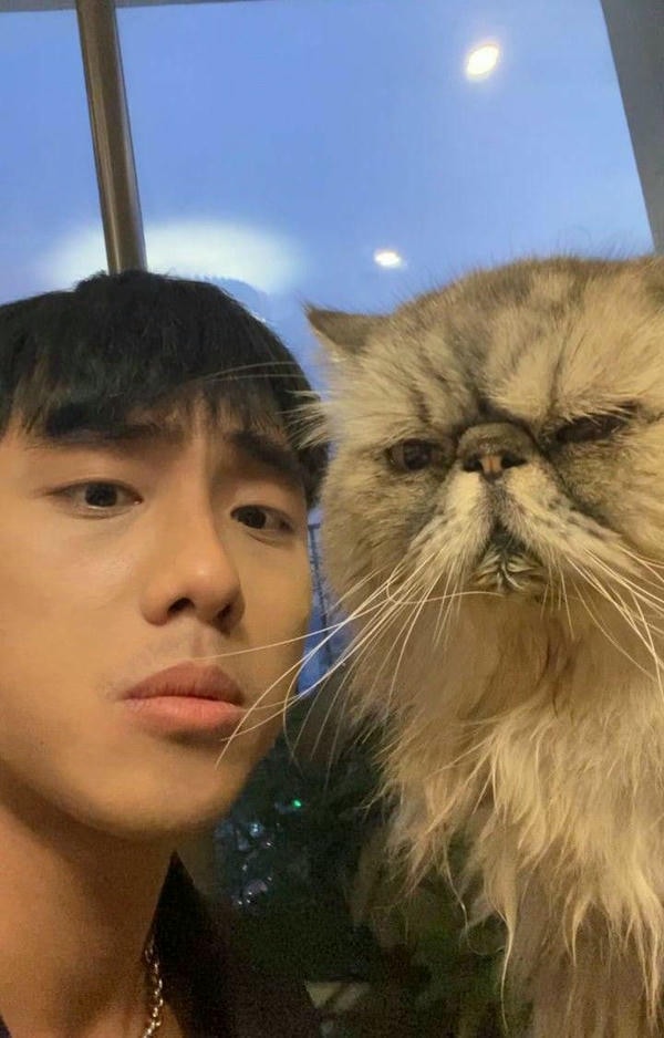 ảnh hải đăng doo dìm 4