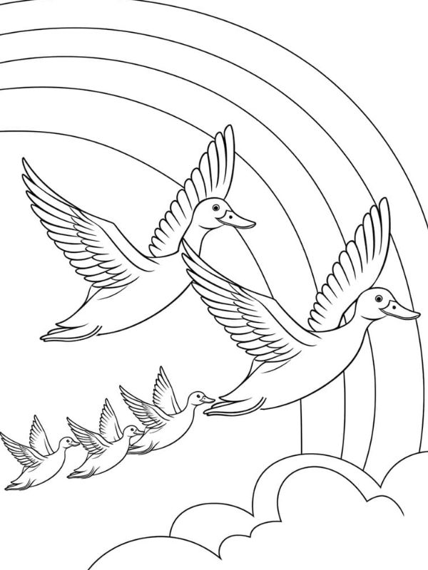 con vịt cho bé tô màu