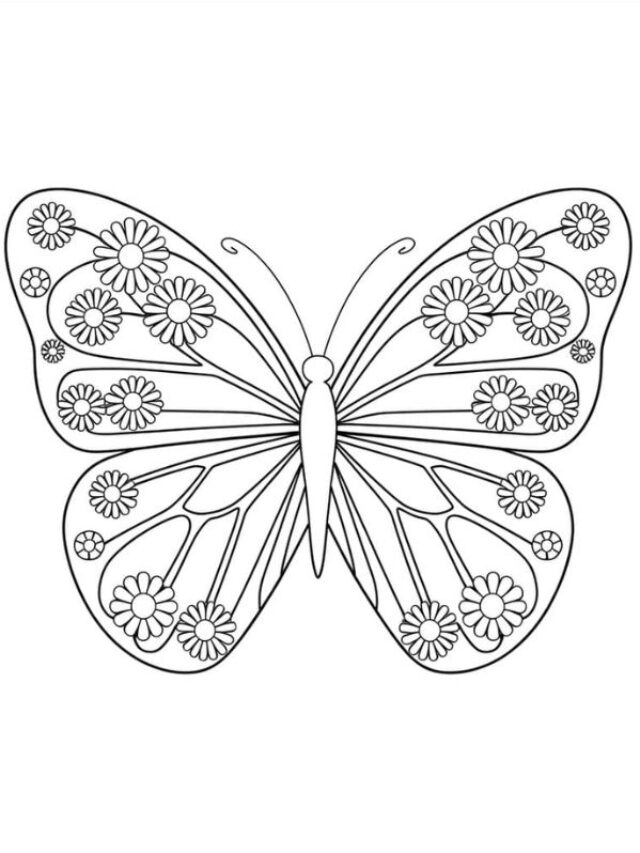 tô màu con bướm 12